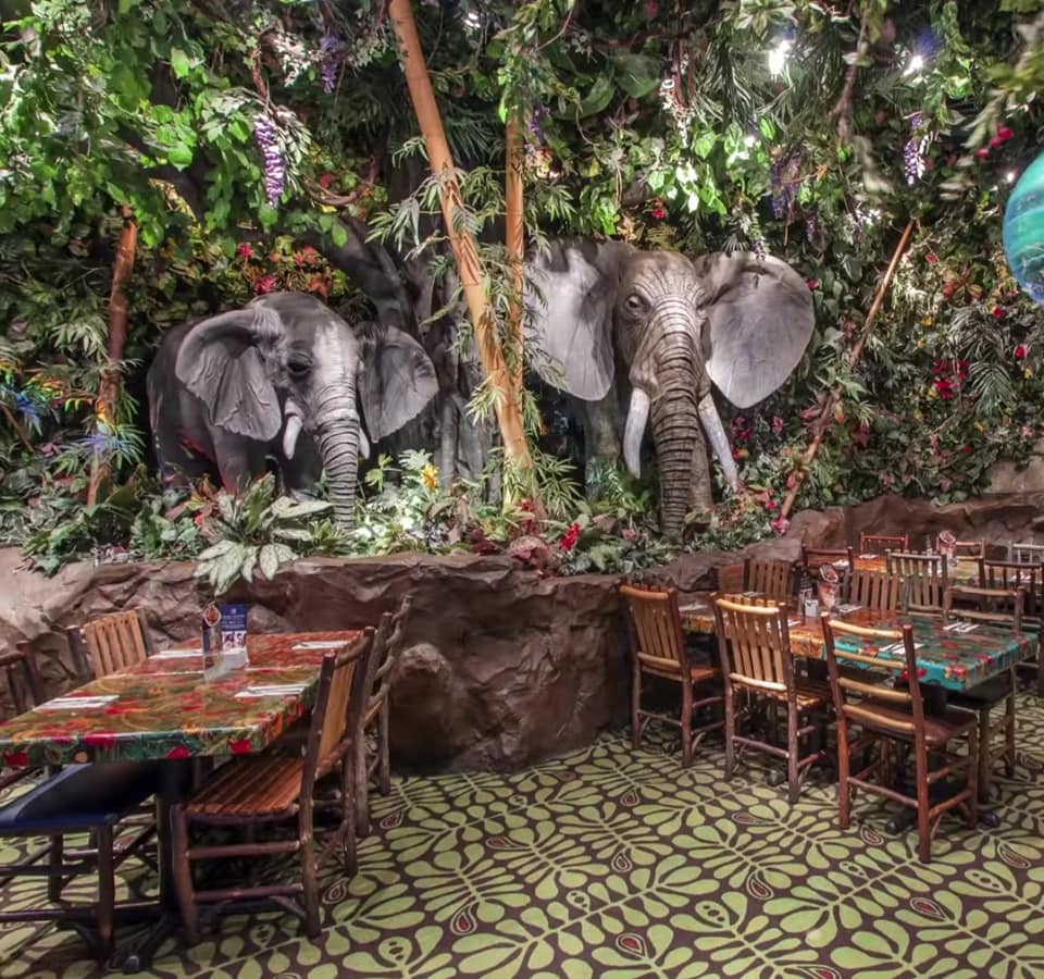 Rainforest Cafe Global Jungle themed Restaurant Chain To Open In Malta 